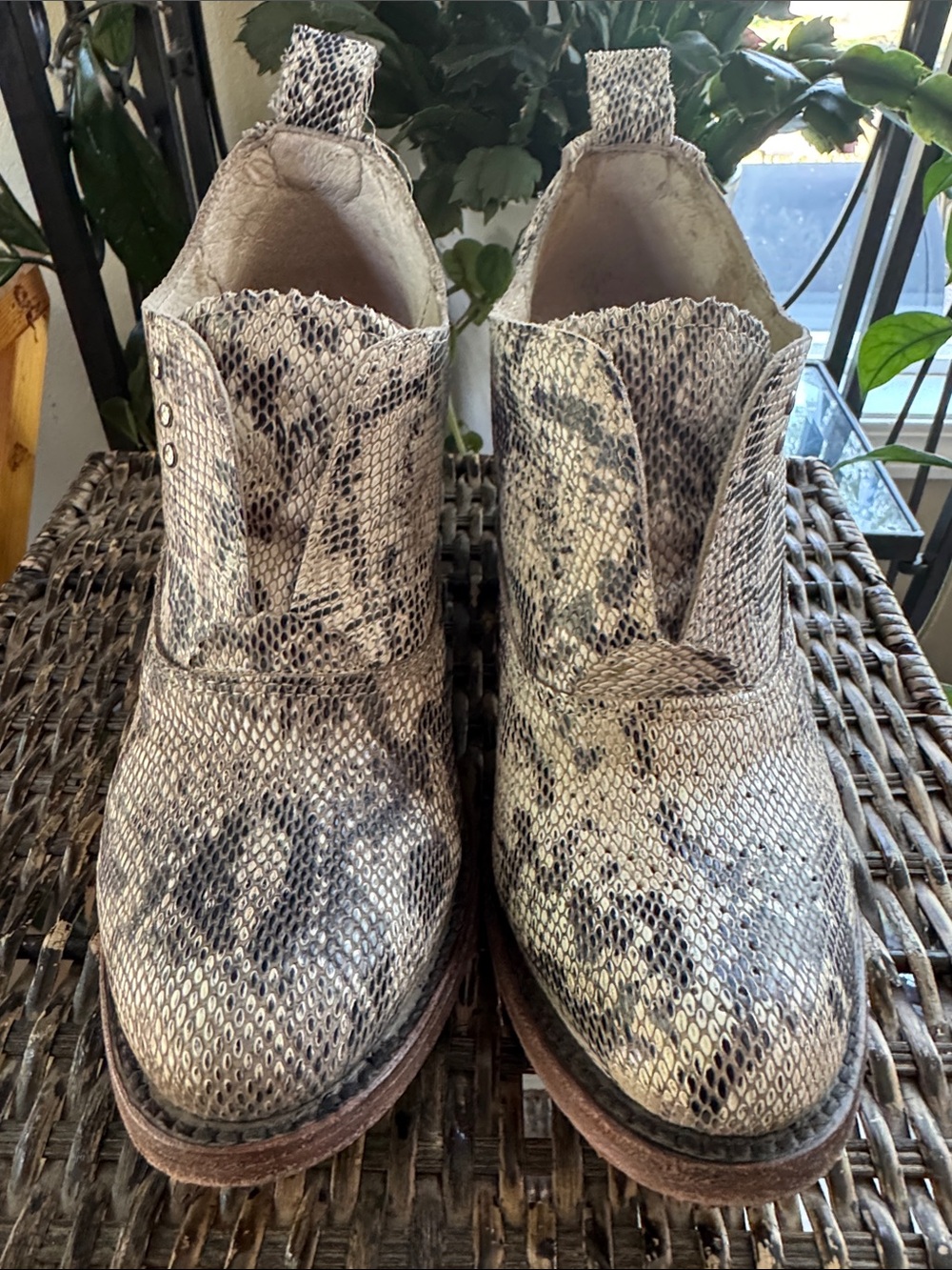 Freebird Sadie python-embossed slip-on ankle booties Women’s size 6